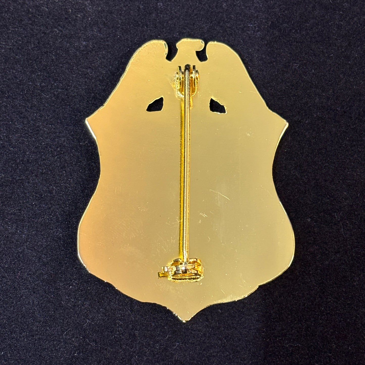 US Citizenship And Immigration Services Dep. Of Homeland Security Badge