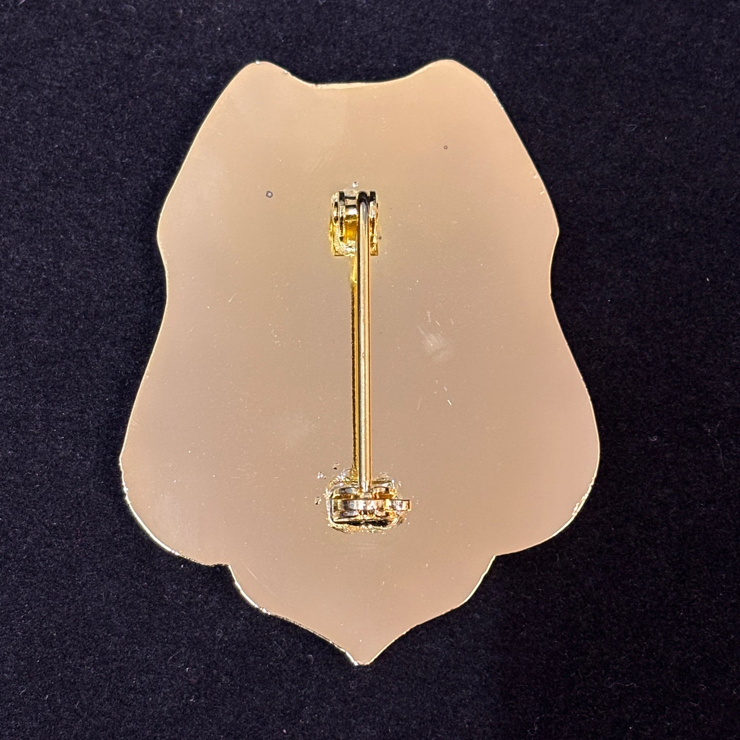 Numero personalizzabile del distintivo del Dipartimento del Tesoro dell'investigatore statunitense