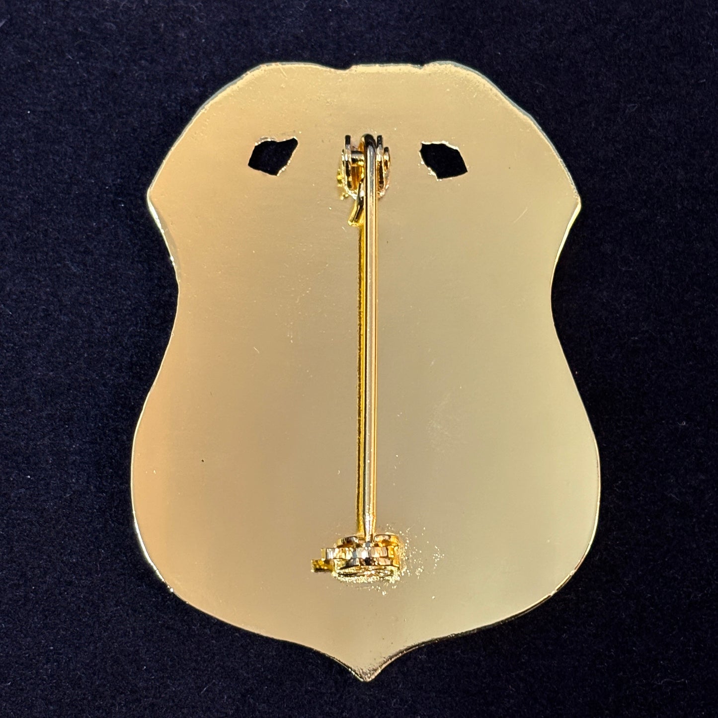 Insignia de réplica de utilería cinematográfica del Auditor Forense de Investigaciones de Seguridad Nacional de EE. UU. (HSI) 