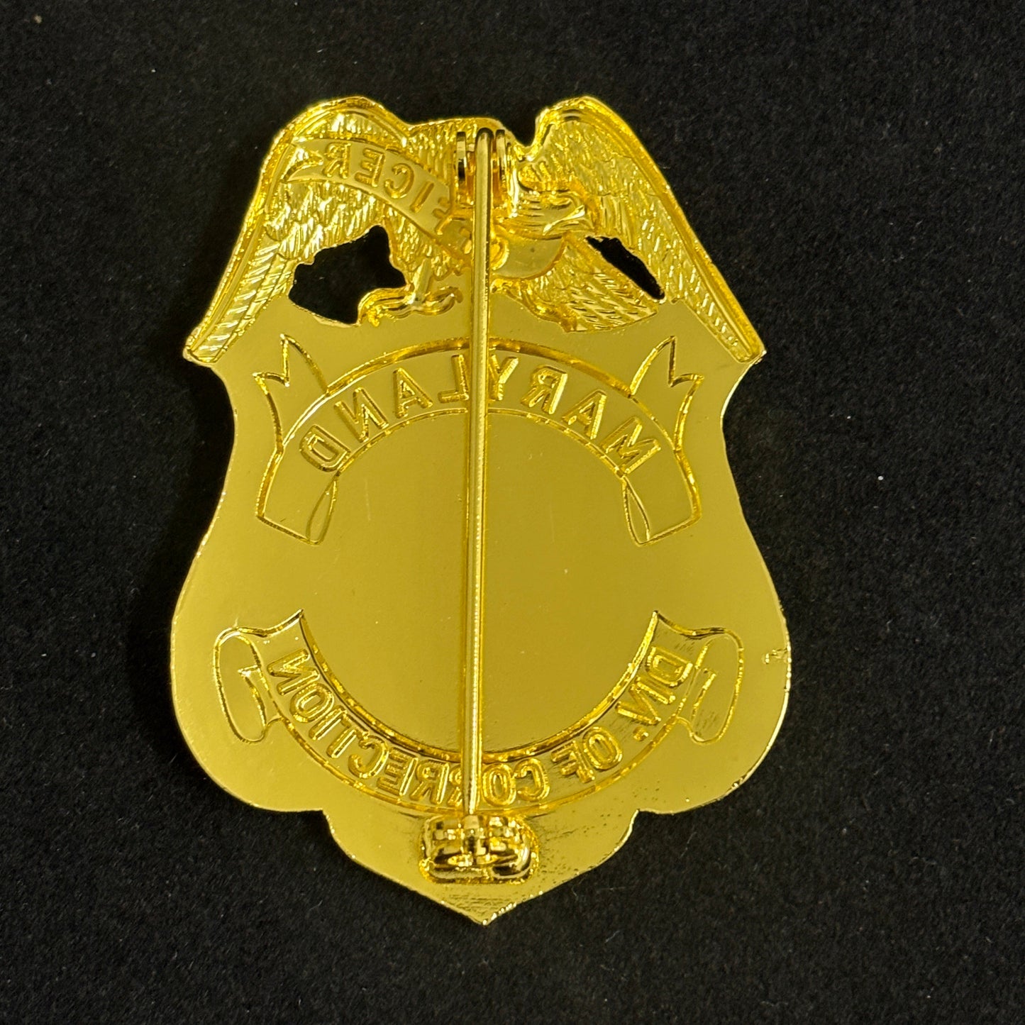 Replica di un distintivo personalizzabile di un agente di custodia della divisione penitenziaria del Maryland degli Stati Uniti.