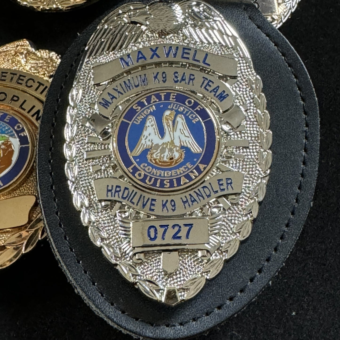 Insignia personalizable BA12