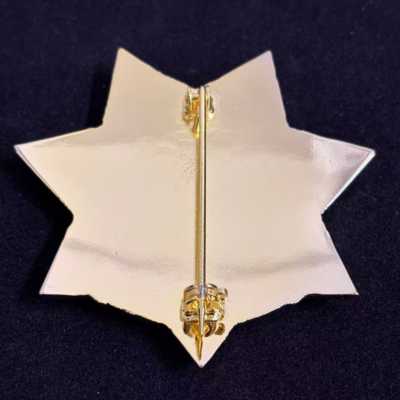 Replica del distintivo del tenente della pattuglia stradale CHP degli Stati Uniti, oggetti di scena del film, numero personalizzabile