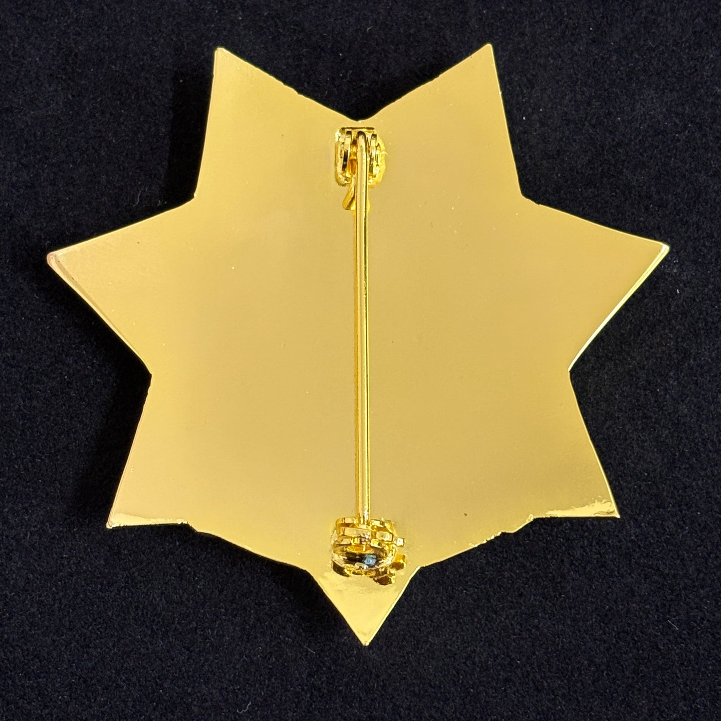 Replica del distintivo dell'agente di polizia stradale statunitense CHP, oggetti di scena del film, numero personalizzabile